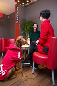 a dog sitting at a table with a woman at Ibis Kaunas Centre in Kaunas