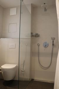 een badkamer met een toilet en een glazen douche bij Ostseezauber in Ostseebad Sellin
