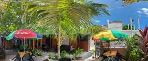 a palm tree and two umbrellas in a patio at Finimas Residence in Thimarafushi