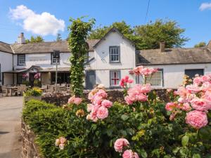 a hedge of pink roses in front of a white building at Coney Garth Barn in Beckermet