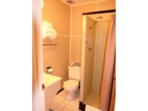 a bathroom with a toilet and a sink at Mountain View Lodge in Packwood