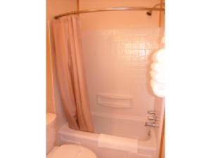 a bathroom with a shower and a toilet at Mountain View Lodge in Packwood