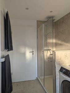 a bathroom with a shower with a glass door at Main Ferienwohnung Erlabrunn in Erlabrunn