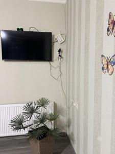 a tv hanging on a wall with a plant and butterflies at Hostel Tsalka in Tsalka