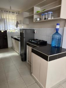 Kuchyň nebo kuchyňský kout v ubytování Diverse home