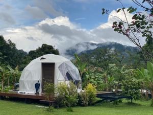 a white tent in a field with mountains in the background at Cosy Garden Khao Sok in Khao Sok National Park