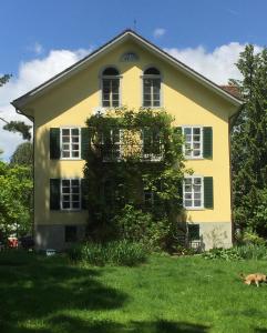a yellow house with ivy growing on the side of it at BnB villaSteiner in Birrwil