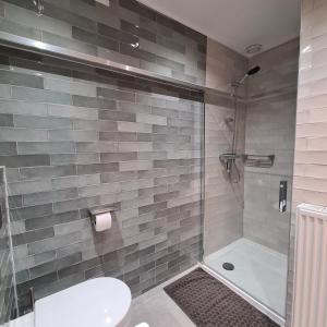 a bathroom with a shower with a toilet and a sink at d'AldeSkoalle in Molkwerum +37 photos