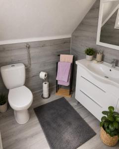a bathroom with a toilet and a sink at Holiday Home Alen - Una National Park Retreat - with Garden & Terrace in Kulen Vakuf