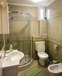a bathroom with a shower and a toilet and a sink at Apartment CDR in Zreče