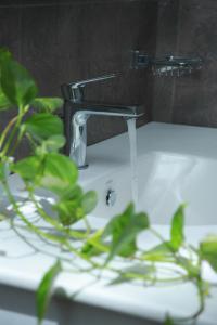 a bathroom sink with a faucet and a plant at Aranya Heights Luxury 7 Pax Home in Wattala