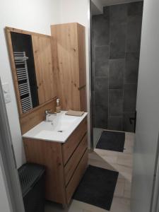 a bathroom with a sink and a shower with a mirror at Meublé Climatisé 75 M2 in Souvans +5 photos