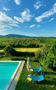 a pool with lounge chairs and a view of a vineyard at Le Civette Country Resort with Pool in Bagno a Ripoli