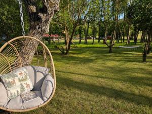 a wicker chair hanging from a tree in a park at A Napos Oldal Vendégház in Abaújkér