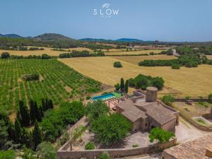 an aerial view of a house in a vineyard at Villa Son Bennasar by Slow Villas in Felanitx +26 photos