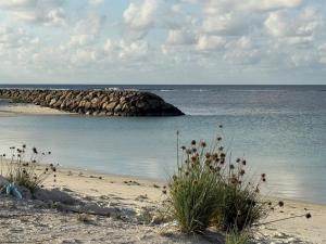 a beach with a rocky island in the water at Daisy Stay Dhaandhoo in Nilandhoo