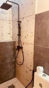 a shower in a bathroom with a rock wall at Maison Studio indépendante in Nungwi