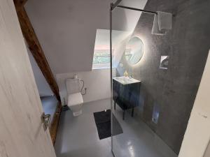 a bathroom with a glass shower and a sink at Spálený mlýn v Národním parku Podyjí in Znojmo +22 photos
