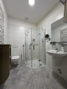 a bathroom with a shower and a toilet and a sink at Hotel a Restaurant Výpřež in Děčín +55 photos