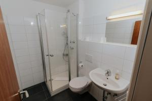 a bathroom with a shower and a toilet and a sink at Almhof Lässer in Balderschwang