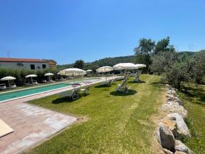 a row of chairs and umbrellas next to a swimming pool at Il Bettarello in Roccastrada