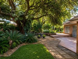a yard with a tree and a house at Tree Aloe Guest House in Mokopane