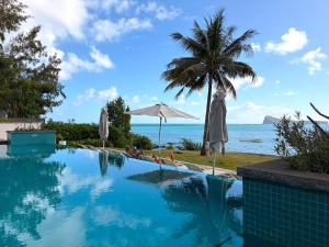 a swimming pool with a palm tree and the ocean at Beachfront Penthouse - Panoramic Ocean View in Cap Malheureux