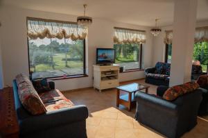 ein Wohnzimmer mit zwei Sofas und einem Fernseher in der Unterkunft Lazoo Experience in Pitaru