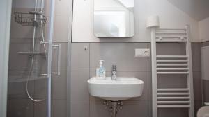 a bathroom with a sink and a shower at Cesar Apartments in Wathlingen