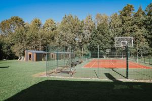 a basketball court with a basketball hoop on a field at Vila Forest Resort in Kvietkučiai