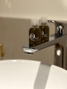 a bathroom sink with two bottles of soap on a holder at Les clés Bélinéenes in Bligny-lès-Beaune