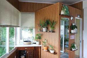 a room with a bunch of potted plants on the wall at Vanilla Homestay Da Lat in Da Lat +42 photos