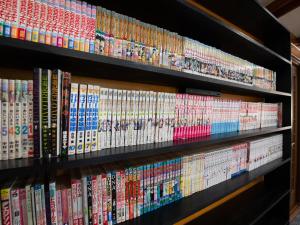 a shelf full of video games at Beni Fujien in Yamanakako