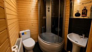a bathroom with a toilet and a shower and a sink at Mountain House in Mykulychyn
