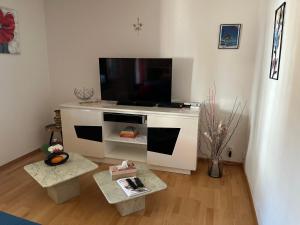 a living room with a flat screen tv on a wall at Appartement proche aéroport in Blotzheim