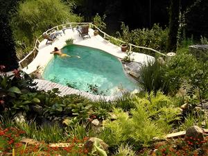 a man swimming in a pool in a garden at Le Nid Du Dragon Rouge in Courniou