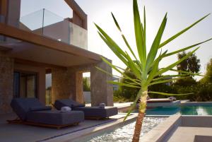 a palm tree in front of a house at The Retreat Villa in Lefkada +24 photos