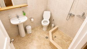 a bathroom with a toilet and a sink at Tuz House R6 in Bakuriani