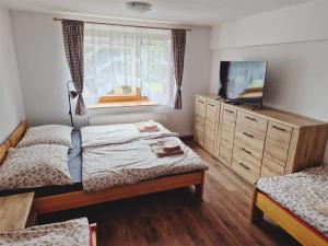 a bedroom with two beds and a window at Chalupa u dvou žab in Janov