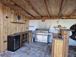 a kitchen with wooden walls and a stove at Chalupa u dvou žab in Janov