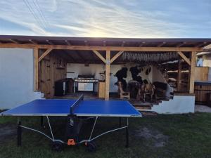 a blue ping pong table in front of a barn at Chalupa u dvou žab in Janov