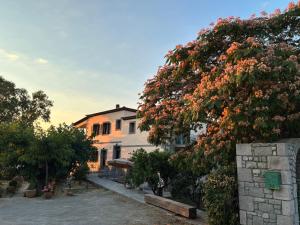 a house and a tree with flowers on it at Two Mills Apartments in Myrina
