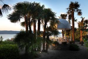 a resort with palm trees and a gazebo at Garden Palace Hotel in Castiglione del Lago