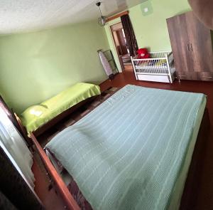 a bedroom with a bed and a crib at Davitis Vila in Chakvi