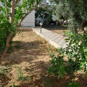 a wooden walkway in a yard with trees and a building at Rejiche in Rejiche