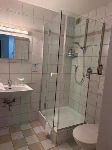 a bathroom with a shower and a toilet and a sink at Franz - Josef in Emmingen-Liptingen