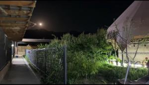 a view of a garden at night at Bars guest House in Barskoon +4 photos
