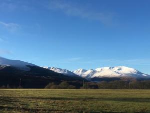a field with snow covered mountains in the background at Buzzards Nest Cottage in Roybridge