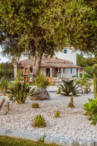 a garden with a tree and a house at Villa Rose Sardegna in Calasetta