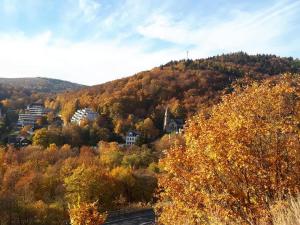 a house on top of a hill with trees at Gästehaus Elisabeth in Schlangenbad